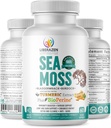 Organic Irish Sea Moss Pills - Wildcrafted Dr Sebi Inspired Seamoss Blend s Turmerica, Burdock Root & Bladderwrack, vylepšený s Black Pepper - 60 Kapsule