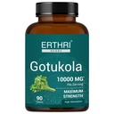 Gotu Kola Tablets 10000mg, Ayurvedic, 90 Count, Wheat Free