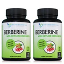 Berberine s cejlonskou škoricou - 1200mg Berberine & 100mg Organic Ceylon škorica - 120 Veggie Kapsule, Zdravý imunitný systém Kardiovaskulárny a gastrointestinálny wellness (Stock of 2)