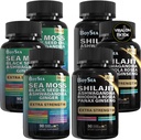 Boysea. Shilajit and Sea Moss Bundle- 90 Count - Morské machy, olej z čiernych semien, Ashwagandha, Ginger & Shilajit, Rhodiola Rosea, Všetko v 1 Doplnky (3 Pc)