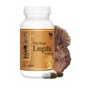 Vita Green Lingzhi Mushrom Capsulas for Energy, Memory, and Immune Support