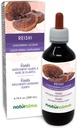 Naturalma Reishi (Ganoderma lucidum) Fungus alebo Huba Alkohol-Free Tinture - 6.76 fl oz Liquid Extract in Drops - Bylinné doplnky - Vegan