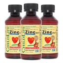 CHILDLIFE ESSIENTS Liquid Zinok Plus pre deti a batoľa - Liquid Supplement Drops, Zinkový glukonát a meď pre imunitnú podporu - Mango Strawberry, 4 Fl Oz (Pack of 3)