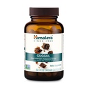 Himalája Guggul - Bylinná podpora pre pečeň Detox, Cholesterol, HDL & LDL podpora - Vegan, Non- GMO, Gluten Free, 720 mg, 60 kapsúl