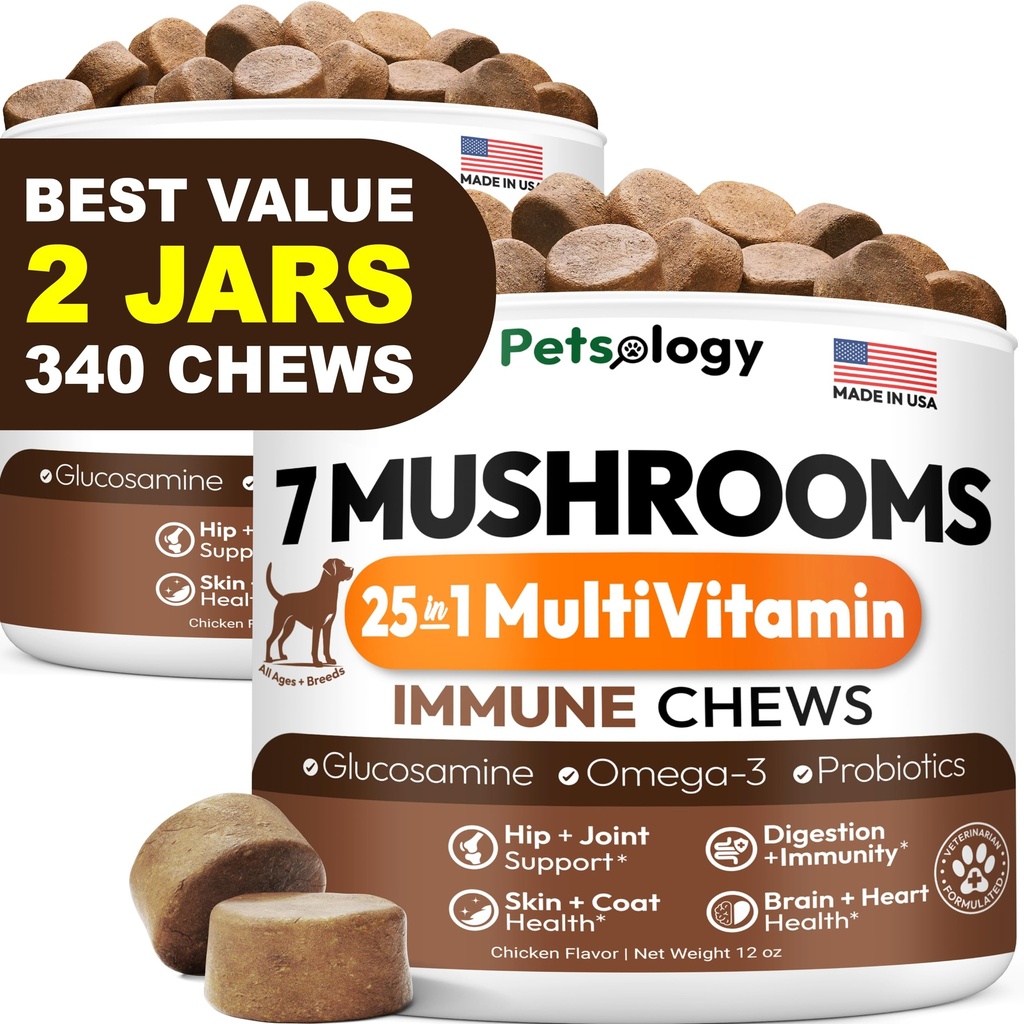 (2 Pack) Turkey Tail Mushroom for Dogs - 340 Chews - Lion’s Mane - Shiitake - Reishi - Buddy Immune Support Guard - Mushroom Supplement for Dogs with Glucosamine, Health Vitamins Multivitamin
