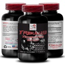 Active Energy Formula - TRIBULUS TERRESTRIS EXTRACT - Stamina Optimization, Natural Boost Blend, Body Empowerment Formula, Energy Enhancement, Strength Rejuvenation, Activity Boost 1 Bottle 90 Tablets