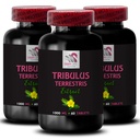 Pure Muscle Power - TRIBULUS TERRESTRIS EXTRACTS - Dynamic Energy Surge, Active Strength Formula, Body Support, Plant-Based Energy, Physical Strength, Daily Power, Natural Muscle 3 Bottles 180 Tabs