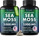 Sea Moss Kapsule - Írske more Moss Pokročilé s Burdock Root, Bladderwrack & Muira Puama pre Imunita, Gut, & Energy - Superfood Sea Moss Supplements w/Raw Sea Moss Powder (2 balenia)