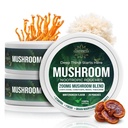 CONVERTTA Mushroom Nootropic Pouches - 200mg Nicotine-Free, Caffeine-Free Organic Mushroom Energy Ultra Pouches with Lion's Mane, Reishi, Cordyceps for Focus & Clean Energy - (3, Wintergreen)