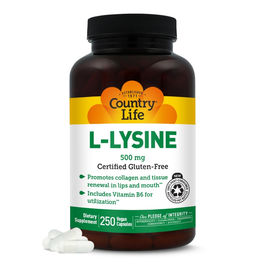 Country Life L-Lysine 500mg s B-6, podporuje imunitné zdravie, podporuje kolagén obnovu v Lips a Mouth, 250 Vegan Kapsule, Certified Gluten Free, Certified Vegan