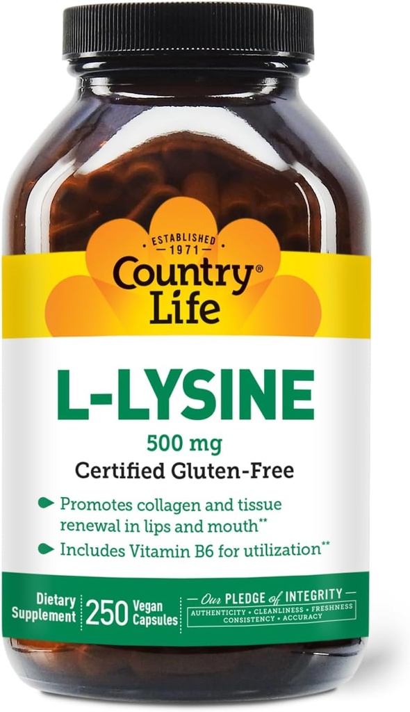 Country Life L-Lysine 500mg s B-6, podporuje imunitné zdravie, podporuje kolagén obnovu v Lips a Mouth, 250 Vegan Kapsule, Certified Gluten Free, Certified Vegan