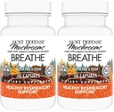 Host Defense Breathe* Capsules - Immune & Respiratory Support Mushroom Supplement - Herbal Lung Health Supplement with Chaga, Reishi & Cordyceps - 30 Capsules (15 Servings)* (Pack of 2)