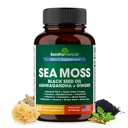 SANDHUHERBALS Sea Moss Capsules with Black Seed Oil Ashwagandha Ginger Burdock Root 