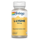 SOLARAY L Lysin 500 mg kapsuly - Free-Form Essential Amino Acides Supplement - Výkonná podpora wellness s L-lyzín Amino Acid - Lab Overené, 60-dňová záruka, 60 Servings, 60 VegCaps