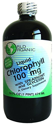 Svetová organická kvapalná chlorofylová kvapalina so spearmintom, 16 Fluid Ounce
