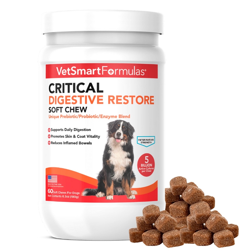 Critical Digestive Restore Soft Chews for Dogs - Veterinarian-Strength Probiotic Support for Optimal Health – with 10 Billion CFUs Per Dose