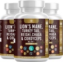 Huba Supplement s Levou hrivou Turecko chvost Reishi Cordyceps Chaga Marshmallow koreň - 180 Počet