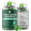 Chlorofylové guličky - Super zelené s pšeničnou trávou, morským machom, nefiltrovanými ACV a bazami, Echinacea, Zinkový komplex a vitamín D3, C, E, B12 pre prírodné dezodoranty, Immune & Digestion Support, 60 žuvačiek