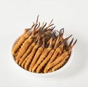 Divoké Cordyceps, celý Himalyan Cordyceps Sinensis Mushroom, Genuine a veľmi zriedkavé, vysoký stupeň, Boost Energy, Znížiť stres pre mužov a ženy, 5 Grams (13+17pic) z Lamjung Nepál Keeda Zadi