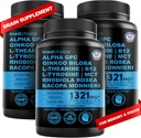 12-in-1 Noottropic Brain Supplement Anhydrous: Ginkgo Biloba pre podporu mozgu, pamäť a zameranie - B12, Alpha GPC, L Theanine a Choline Doplnky s Bioperine Non Caffeinated 1321mg (180ct)
