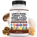 Lion Mane Huba doplnok s Tureckom chvost Reishi Cordyceps Chaga s marshmallow koreň - 1-Pack