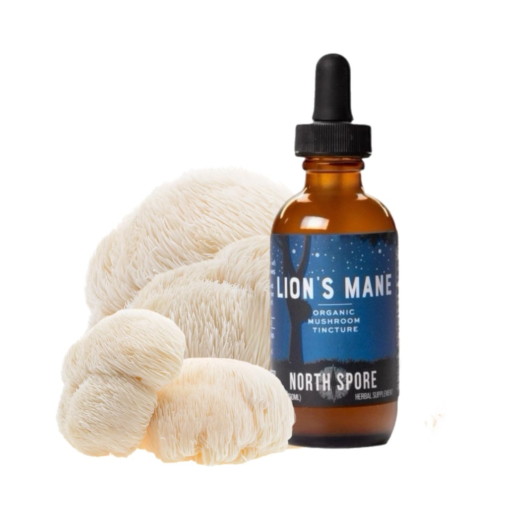 North Spore Organic Lion's Mane Mushrom Tincture (2 oz) 