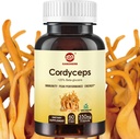 Cordyceps Kapsule, Mushroom Extract Supplement Powder s 31% Beta Glucan for Performance, Energy and Immune System Support, 700 mg, 60 gróf, Organic and Vegan