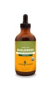 Herb Pharm Bugleweed tekutý extrakt pre Endokrinný systém Podpora - 4 Ounce