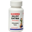 Baidyanath Asli Ayurved Giloy Satwa, 40 gm