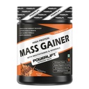 Mass Gainer Protein 500gm, Chocolate Flavour with Multivitamin & Minerals for Muscle Gain & Fast Growth, 10 Servings
