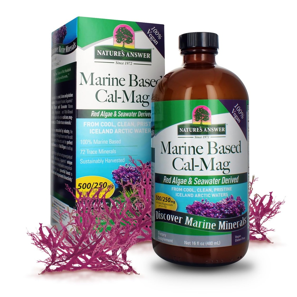 Nature's Answer Marine Based Calcium Magnézium, Vanilla Cream, 16-Ounce 