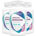 Berberine HCL Supplement 1500mg - Vysoká biologická dostupnosť Lipozomálne Berberine Kapsule pre Ženy a mužov, AMPK Aktivátor pre Kardiovaskulárne zdravie, bez cukru, non-GMO,180 Softgels