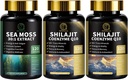 Sea Moss and Shilajit Kapsule pre Muži a ženy, všetko v 1 Doplnky s Shilajit, Sea Moss, Koenzým Q10, Black Seed, Ashwagandha, Burdock pre energiu, Antioxidant a imunitná podpora