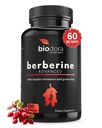 Berberine Advanced Plus s 1200mg Berberine - 100mg Ceylon škorica a 100mg extrakt zo zeleného čaju - 1400mg na dávku -120 kapsúl - 60dňová zásoba - podporuje imunitný a kardiovaskulárny systém
