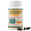 800 mg Lipozomálne NAD+ Doplnok s nikotínamidom Riboside 200 mg, Trans-Resveratrol 100 mg - Pravý NAD doplnok pre opravu DNA, zdravé starnutie, funkcia mozgu - 60-dňová dodávka
