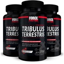 FORCE FACTOR Tribulus Terrestris pre mužov, 3-Pack, Tribulus Testosterón Booster pre mužov, mužská vitalita doplnok, Tribulus extrakt a prírodné zložky pre Superior Absorpcia, 1000 mg, 180 kapsúl