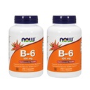 Teraz vitamín B-6 100 mg 250 kapsúl (dávka 2)