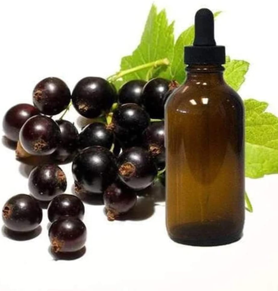 Black Currant Seed Oil 1oz sklo kvapkadlo fľaša