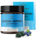 HERBAMA Adrenal Support Gummies - Pure Adrenal Complex Supplement for Women with Ashwagandha Root, Rhodiola Rosea & Magnézium - Vegan, Non-GMO - 60 Pectin-Blueberry-Flavoured Chews