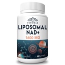 1600 mg Lipozomálne doplnky NAD, 98% Pure NAD+ Supplement, Superior Absorbtion, Alternative to Nicotinamide Riboside or NADH to Boost NAD+ for Aging Defense, Energy, Longevity,60 Softgels