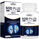 Superoxid dismutáza doplnok 500 mg - SOD Plus s lipozomálnym glutatiónom, AKG, extraktom zo zeleného čaju, L-arginínom, Lyzínom, resveratrolom a vitamínom E pre imunitnú podporu, antioxidant 60 kapsúl