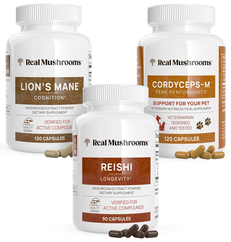 Real Huby Brain, Vitality & Immune Support Bundle - Lion