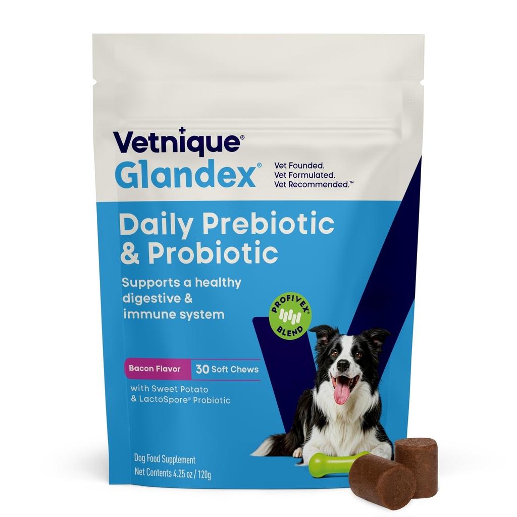 Vetnique Glandex Daily Probiotiká pre psy s prebiotikami na podporu zdravia Gut s fiberovými a tráviacimi enzýmami, probiotické žuvačky alebo prášok (30 ct žuvačky, slaninové žuvačky)