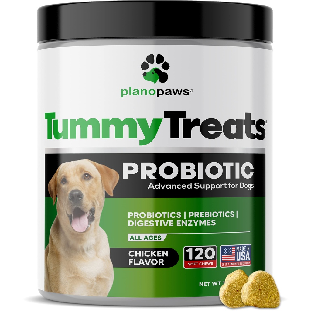 Probiotiká pre psy Tráviace zdravie - Pes probiotiká a tráviace enzýmy - Alergická úľava pre psy - Probiotické pre psy Gut zdravie - Puppy Probiotické Liečba bruško - 120 Dog Probiotické Chews