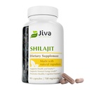 Jiva Botanicals Shilajit Kapsule 700 mg 