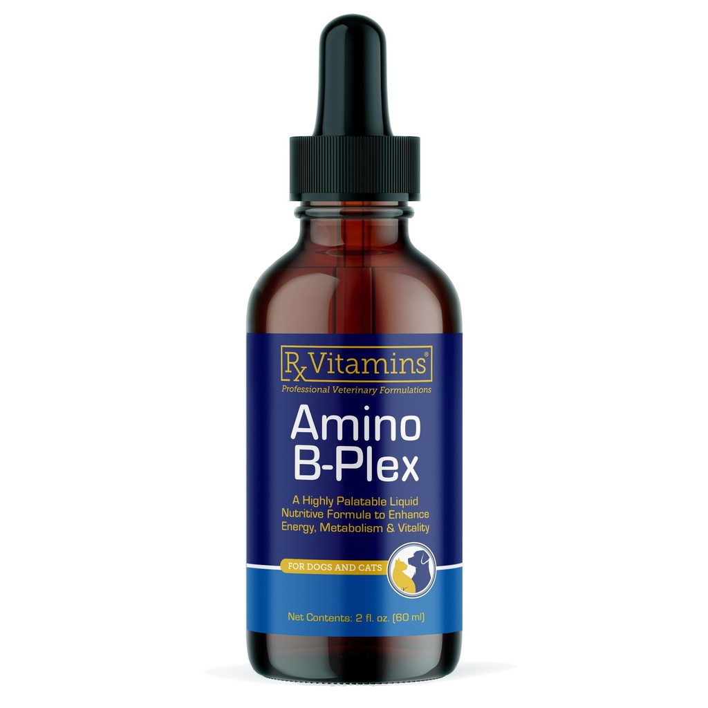 Rx Vitamíny Amino B Plex Cat & Pes Supplement - Vitamín B komplex Tekutina Plus Aminokyseliny pre psy a mačky - Apetite Booster a hmotnosti Gainer Cat & Pes Vitamíny - 2 oz