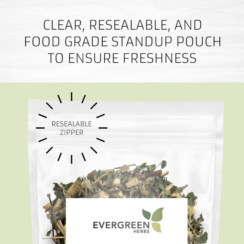 Evergreen Herb Cuachalalát Herb (Amphipetyglum Adstringens) - Odolný postaviť Púch na zabezpečenie čerstvosti! (Tea Bags)