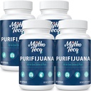 1500 MG Detox a očistiť, Telo Detox pre mužov a ženy, Rýchly detox, Čistenie obličiek Detox a oprava, Prírodné bylinné Premium Formula pre pečeň, močové tract, Tráviace & Mood, Vyrobené v USA, 240 Caps