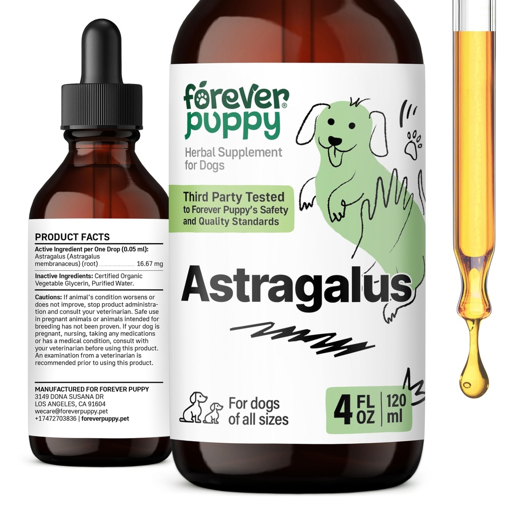 Forever Puppy Astragalus Root Drops for Dogs - Astragalus Membranaceus Extract for Dogs' Immune Support - Bylinné domáce zviera Liquid Supplements for Imunity & Joyful Pet Care - 4 oz