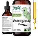 Forever Puppy Astragalus Root Drops for Dogs - Astragalus Membranaceus Extract for Dogs' Immune Support - Bylinné domáce zviera Liquid Supplements for Imunity & Joyful Pet Care - 4 oz